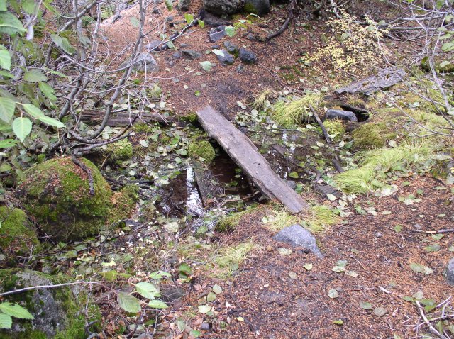 Newton Creek Oct 16 2005 072 